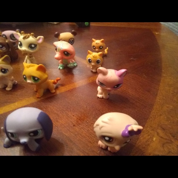 Vintage my little pet shop - Picture 7 of 8